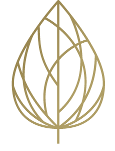 newland park - logo